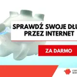 Świnka skarbonka w wodzie. Napis: Sprawdź swoje długi przez internet. Za darmo.