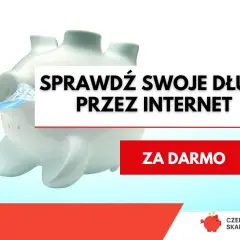 Świnka skarbonka w wodzie. Napis: Sprawdź swoje długi przez internet. Za darmo.