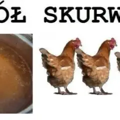 Rosół z kur wielu kawał: skąd się wziął ten mem?