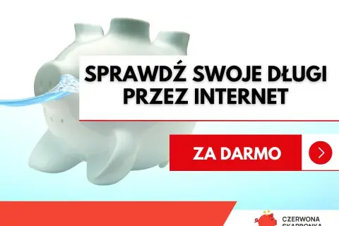 Świnka skarbonka w wodzie. Napis: Sprawdź swoje długi przez internet. Za darmo.