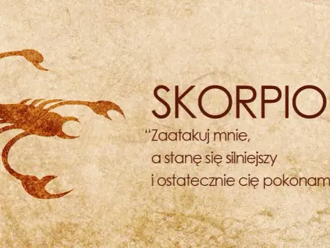 Jak postępować ze Skorpionem? Kluczowe porady dla Ciebie