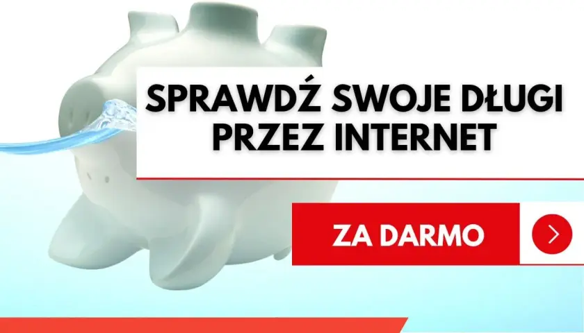 Świnka skarbonka w wodzie. Napis: Sprawdź swoje długi przez internet. Za darmo.