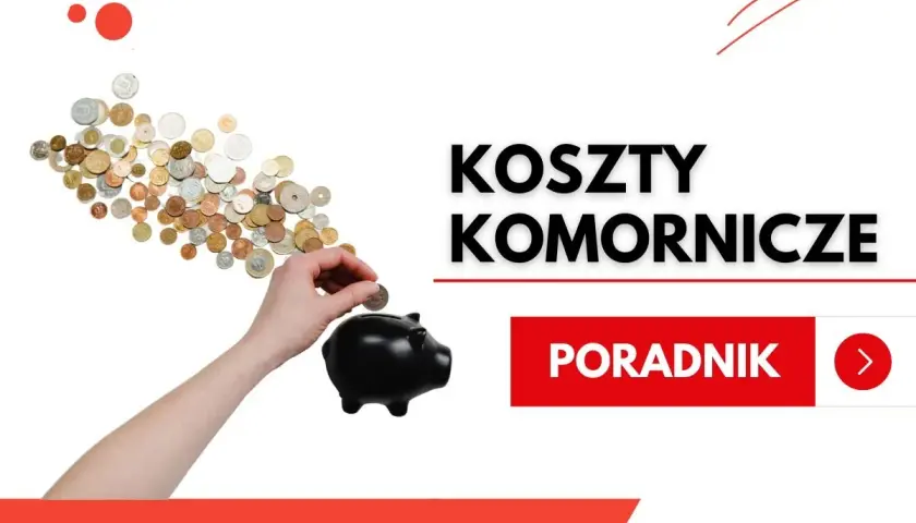 Jak uniknąć kosztów komorniczych? Praktyczne sposoby dla dłużników