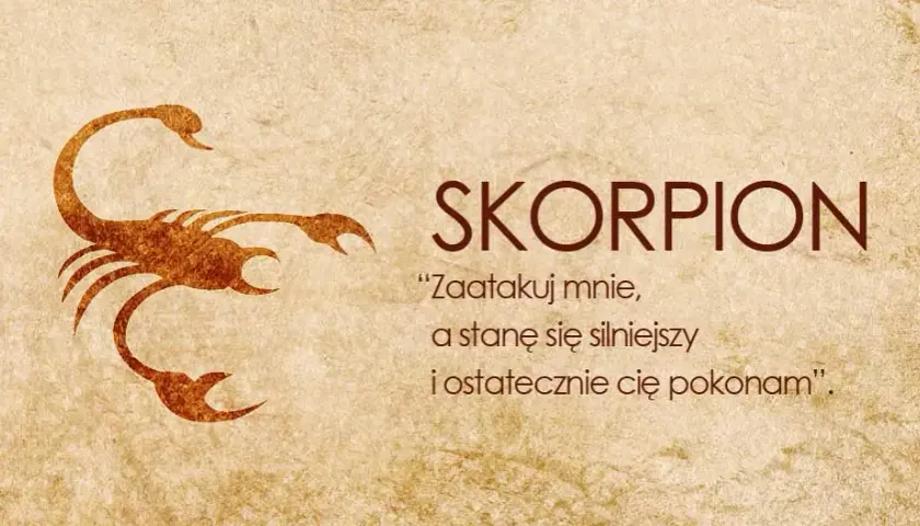 Jak postępować ze Skorpionem? Kluczowe porady dla Ciebie