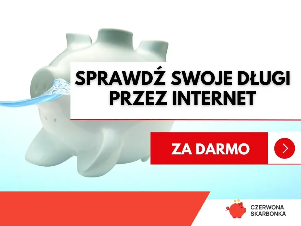 Jak sprawdzić swoje długi? BIK, BIG i egzekucja